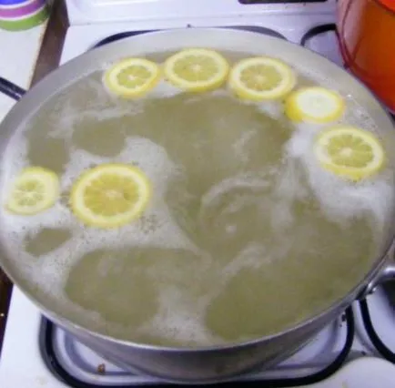 Hogyan kell elkészíteni egy nyírfa lé, citrom téli