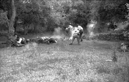 Наказателни операция на Вермахта в 2 гръцкото село kondomari юни 1941 - Военен Преглед