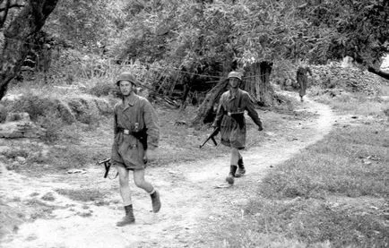 operarea punitivă a Wehrmacht-ului în satul grecesc kondomari 2 iunie 1941 - Revista Militară