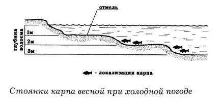 Когато пролетта започва да захапе шаран