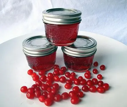 Cranberry jelly recept