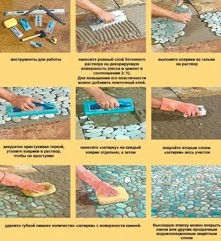 Recomandări Placi ceramice Găini