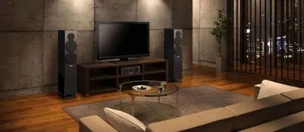 Boxe pentru home theater modul de a selecta și instala