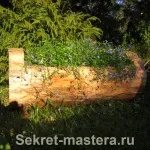 Красива решение относно използването на парче дърво като цветна леха