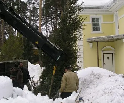 Голям размер в ландшафтния дизайн София