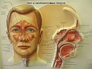 синузит домашно лечение народни средства