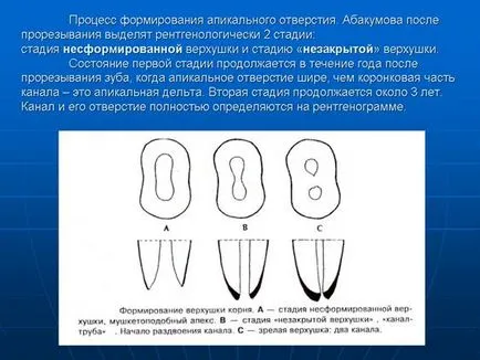 prelegere curs privind „Stomatologie Pediatrică“ platforma de conținut