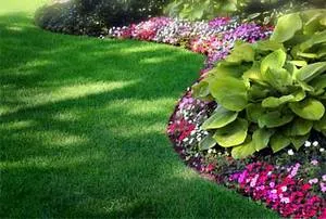 Anuare în grădină - modul de a realiza o înflorire luxuriantă și lung, planta o gradina
