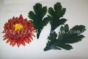 piele Chrysanthemum