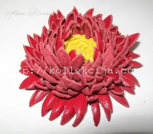 piele Chrysanthemum