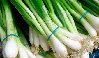 Onion Nigella - отглеждане, засаждане, когато за прибиране на реколтата