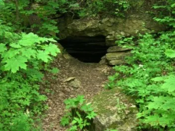 Lyubovitsky kamenlomni (пещера Koltsov е) в Ferzikovo - как да стигнете