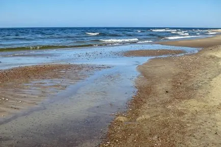 домашно какво май, за да видите в Калининград