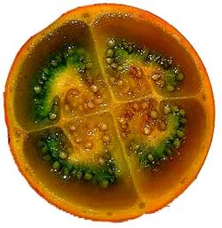 Naranjilla описание, състав и употребата