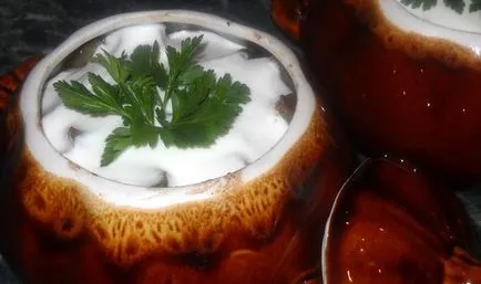 Carne cu ciuperci în ghivece pas cu pas reteta cu fotografii, cum să gătească în cuptor pentru delicios