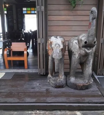 Samui turisti furat elefant (video) - Stiri Pattaya