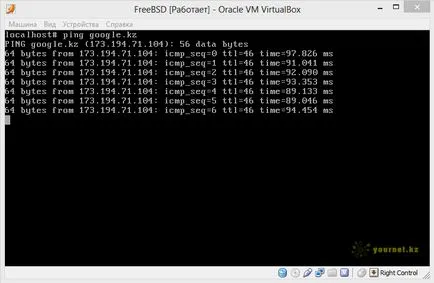 FreeBSD мрежа Setting