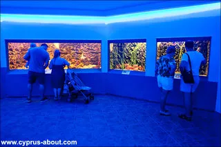 Oceanarium în Protaras