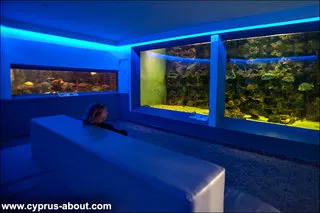 Oceanarium în Protaras