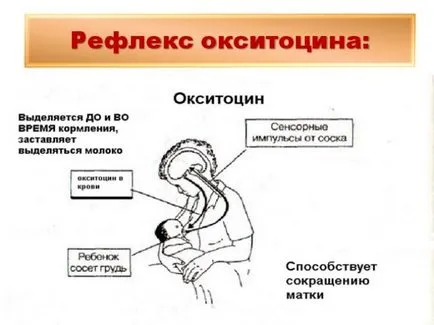 Oxitocina după livrare cum pentru a ajuta la injectii mama mea pentru contracțiile uterine și de ce au fost înjunghierea