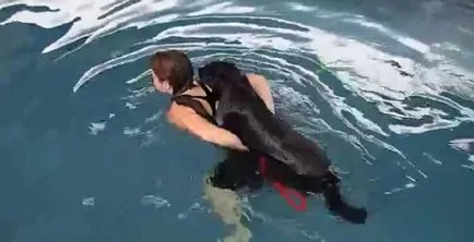 Femeia strigând că nu va merge în jos în apă, care este scăldată de câine