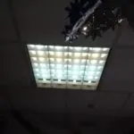 Caracteristici de lămpi cu LED-uri raster