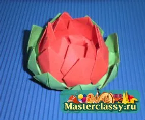 flori origami