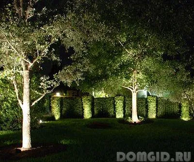 idei originale pentru iluminatul zonei suburbane cu mâinile lor