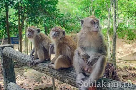 Langkawi Minden látnivalók