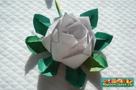 flori origami