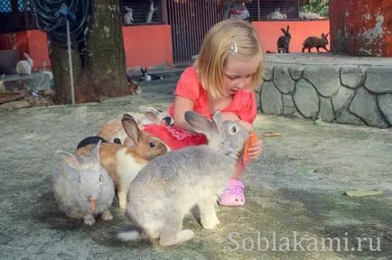 Langkawi Minden látnivalók