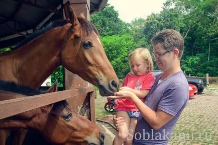 Langkawi Minden látnivalók