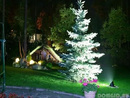 idei originale pentru iluminatul zonei suburbane cu mâinile lor