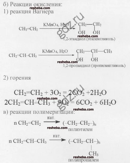 Отговорите на участъка 10, 10 клас