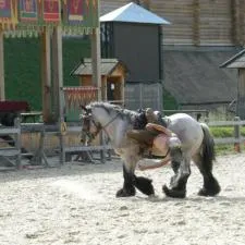 Rusia Kieveană Park