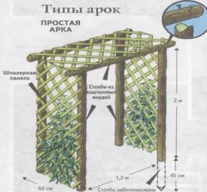 Pergolák és ívek fából, hogy a saját kezébe