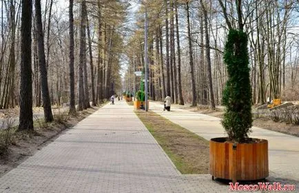 Sokolniki Park ma - Moszkva séták, parkok