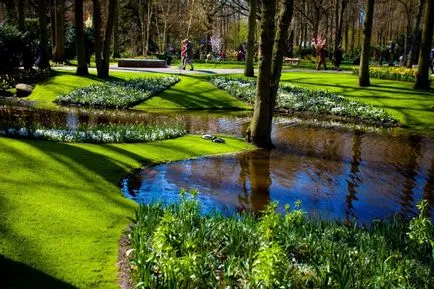 Park Keukenhof 2017 órát, hogyan lehet eljutni az árat