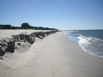 Beach Амбър