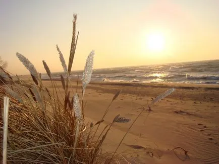 Beach Амбър