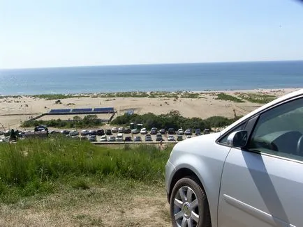 Beach Амбър