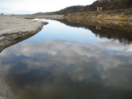 Beach Амбър