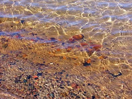 Beach Амбър