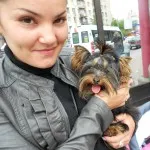 Pomerania, de vânzare pentru a cumpăra un catelus Pomeranian Spire pitic low-cost din St.