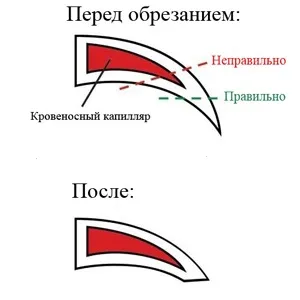 подстригване нокти