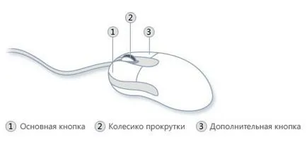 Условия за ползване компютърна мишка - корекция, превъртане на документи, безопасни и безвредни