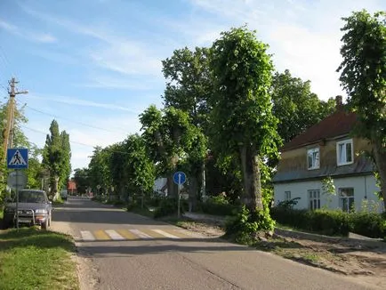 Satul chihlimbar pe regiunea Mării Baltice Kaliningrad