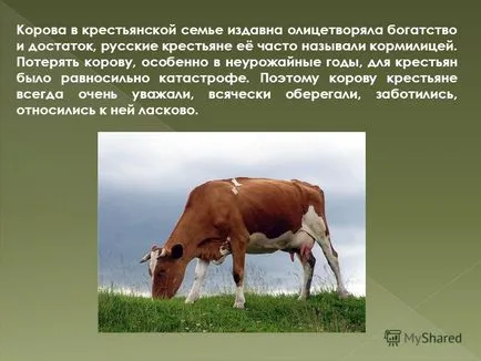 Представяне на едър рогат добитък са били опитомени преди много време