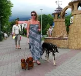 Развъдници - katuninsky приют за бездомни кучета