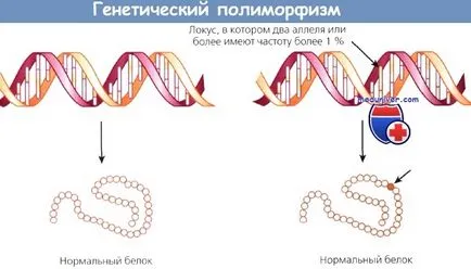 Rac ca o boala genetica